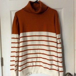 Striped Turtleneck Sweater
